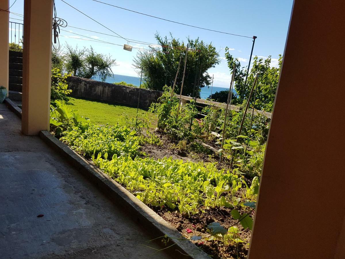 ☼Sunset Apartment Piran Zewnętrze zdjęcie